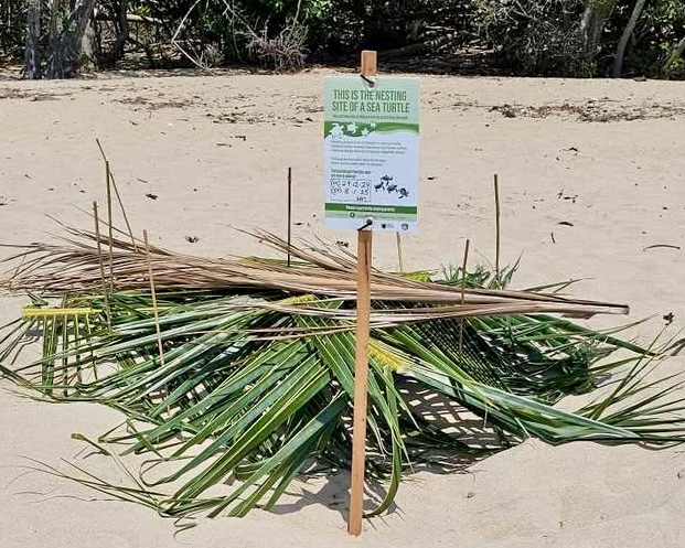 Turtle nest site